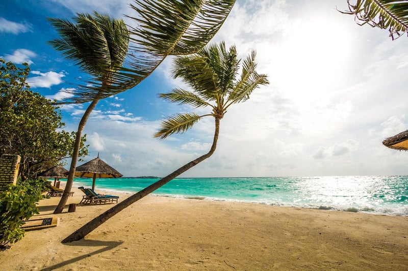 Bora Bora Beach Wedding
